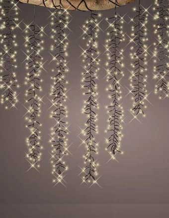 Cascade Lights