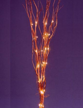 Lit Twigs