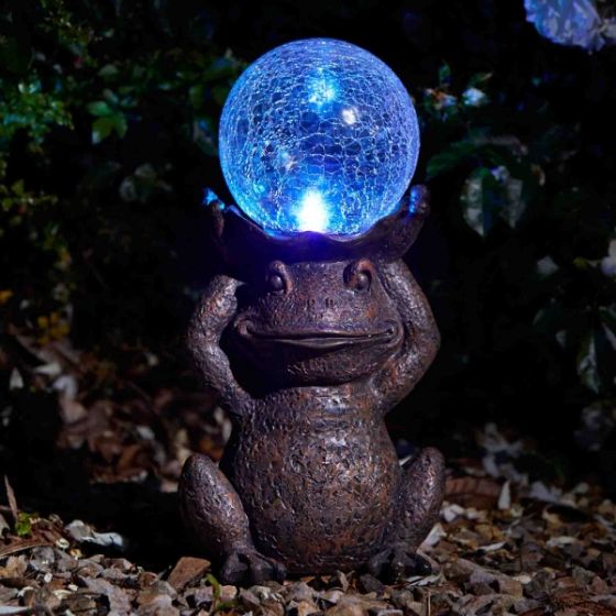 frog with orb