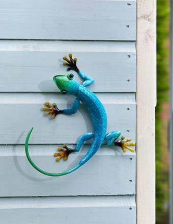 gecko