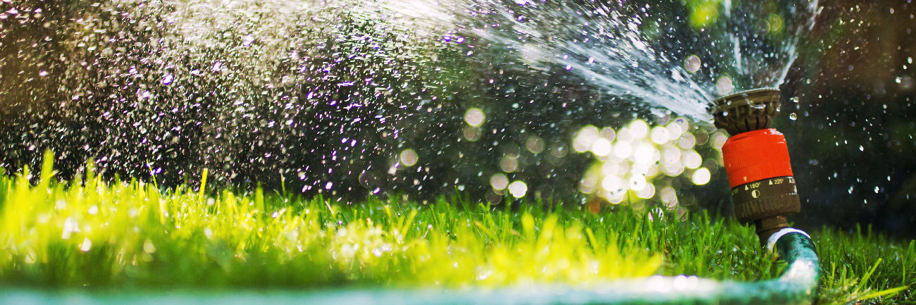 Water hose system