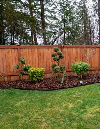 Fenced garden