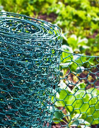 wired netting