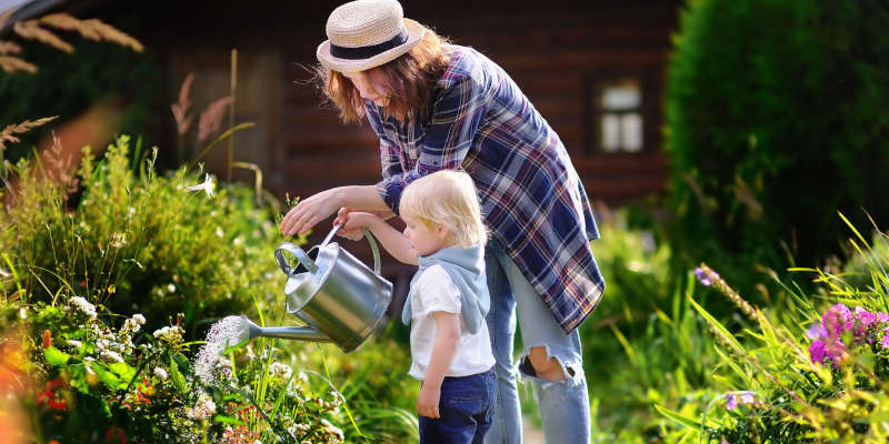 Watering garden