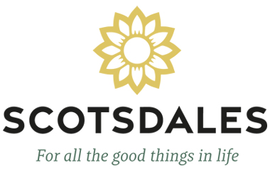 Scotsdales sunflower
