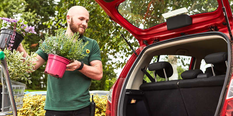 Loading plants in car