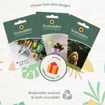 gift card set