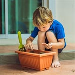 plastic trough