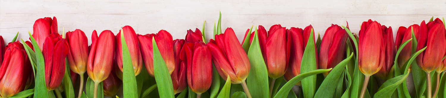 Mother's Day Gift Ideas Mother's Day Gift Ideas
