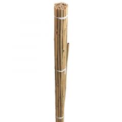 Westland Grow It Bamboo Canes 10 Pack 240cm/8Ft