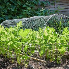Hexagonal Wire Netting – 25mm Mesh 0.5 x 20m Galvanised  - Smart Garden