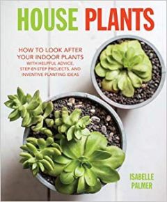 House Plants - How To Look After Your Indoor Plants