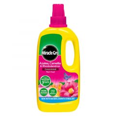 Miracle-Gro® Azalea, Camellia & Rhododendron Concentrated Liquid Plant Food 1L