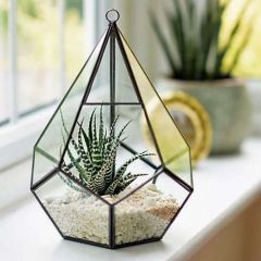Plantpak Glass Teardrop Terrarium