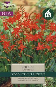 Crocosmia Red King - Taylor's Bulbs