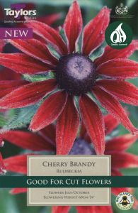 Rudbeckia Cherry Brandy - Taylor's Bulbs