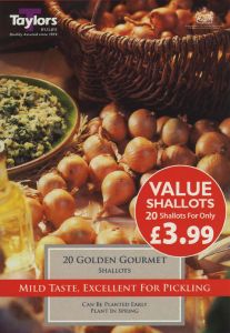 Shallot Golden Gourmet Value 20 Pack - Taylor's Bulbs