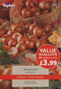 Shallot Red Sun Value 20 Pack - Taylor's Bulbs