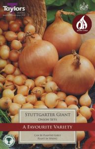 Stuttgarter Giant Onion Sets - GC-TAYLORS