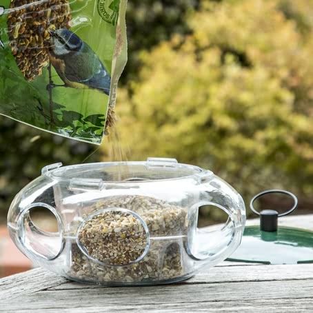 Peckish Small Bird Seed Feeder