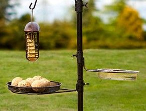 Tom Chambers Select Bird Station