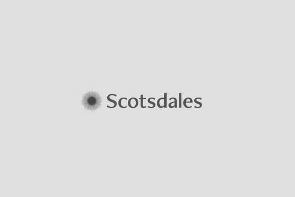 Scotsdales Sunflower Cafe Menu Scotsdales Sunflower Cafe Menu