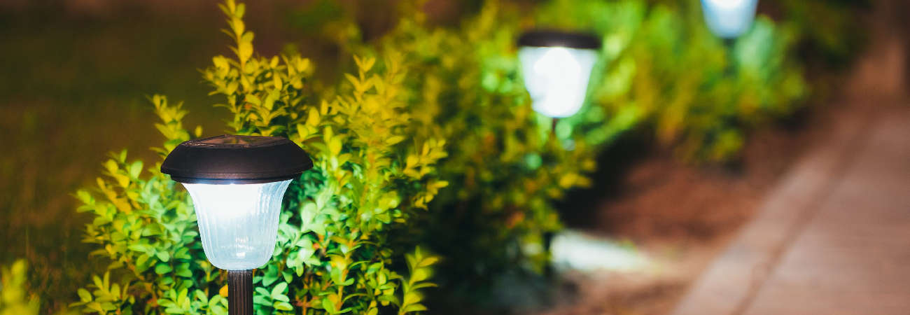 Artificial Christmas trees