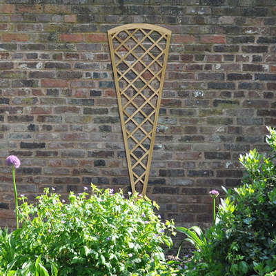 Lattice